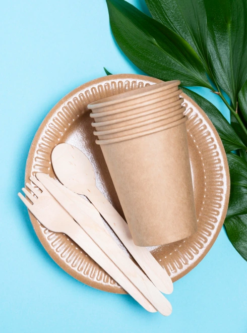 Eco-friendly Bagasse Plates