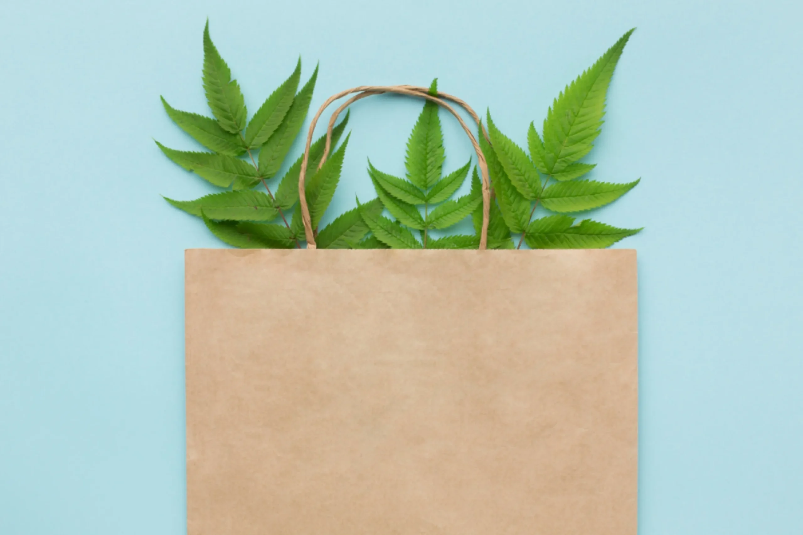 Plant-based Plastic Bags