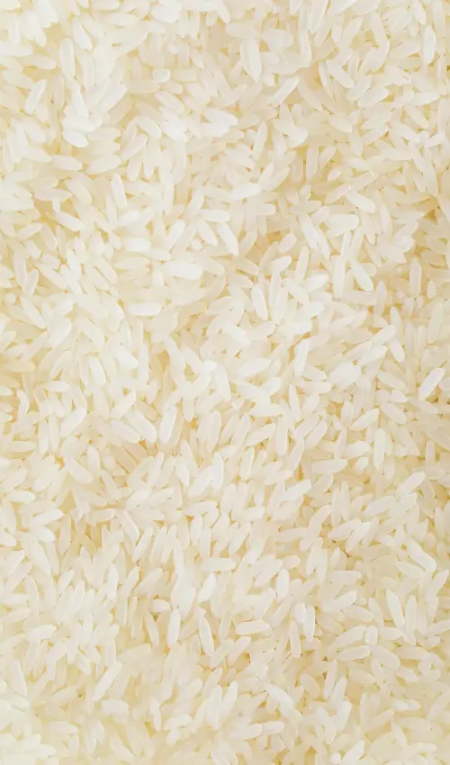 rice banner